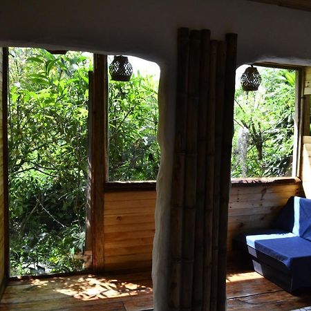 Habitacion Las Bromelias, Pijao, Finca Flora Del Rio Esterno foto