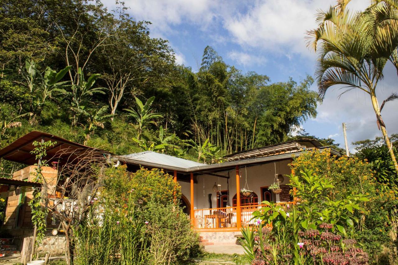 Habitacion Las Bromelias, Pijao, Finca Flora Del Rio Esterno foto