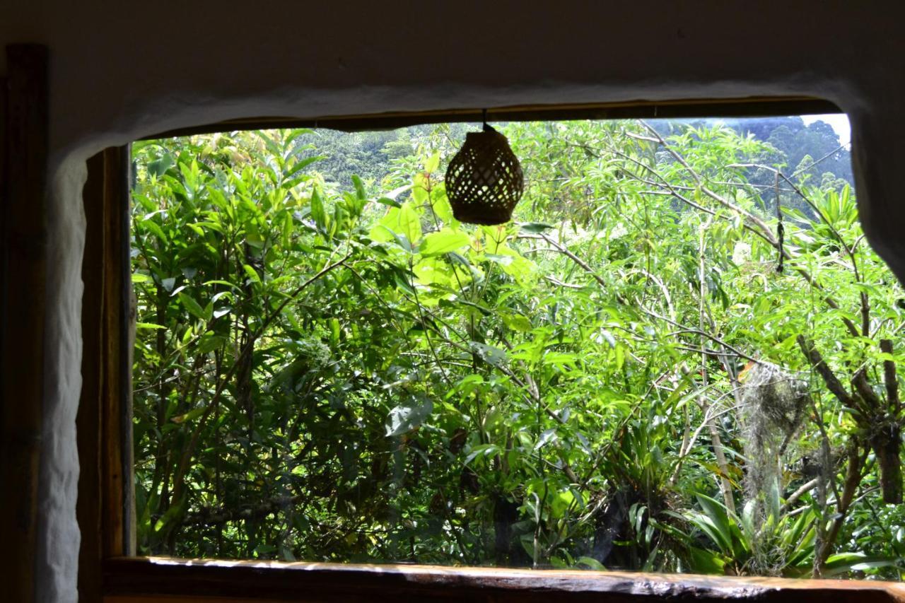 Habitacion Las Bromelias, Pijao, Finca Flora Del Rio Esterno foto